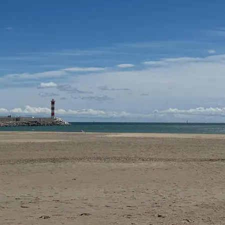 Appartement T2 Climatisé, 100m De La - Le Laurier Port-la-Nouvelle